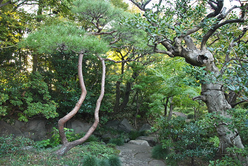 Kokusai Bunka Kaikan, International House of Japan