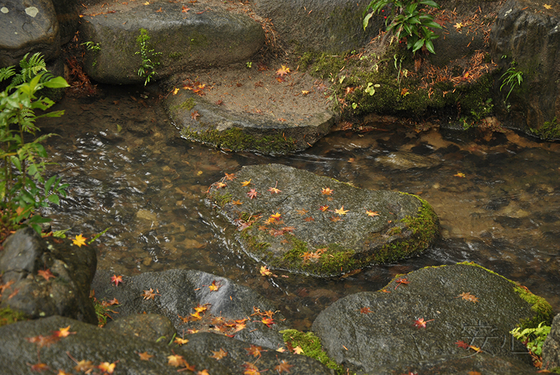 Isui-en garden