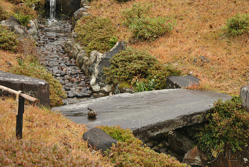 Isui-en garden