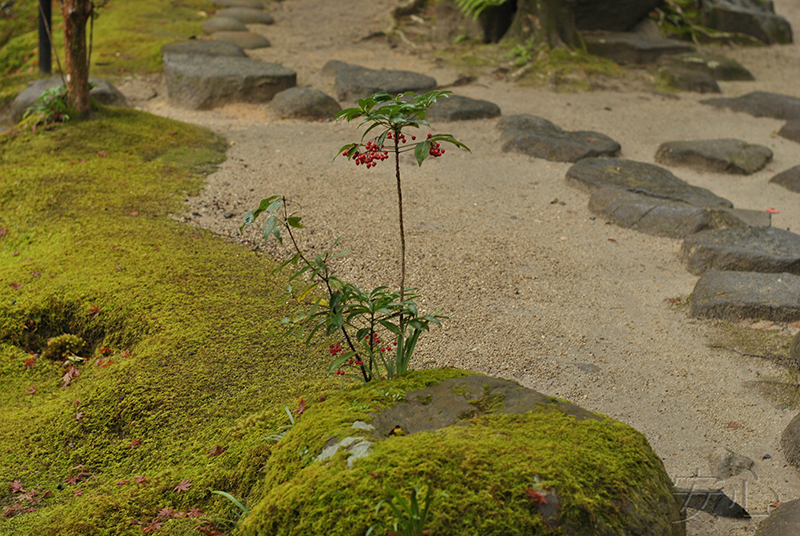 Isui-en garden