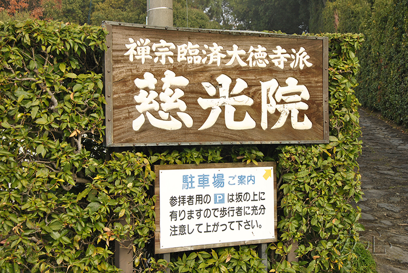 Jiko-in temple garden