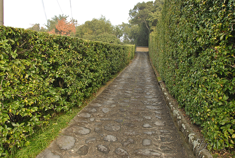 Jiko-in temple garden