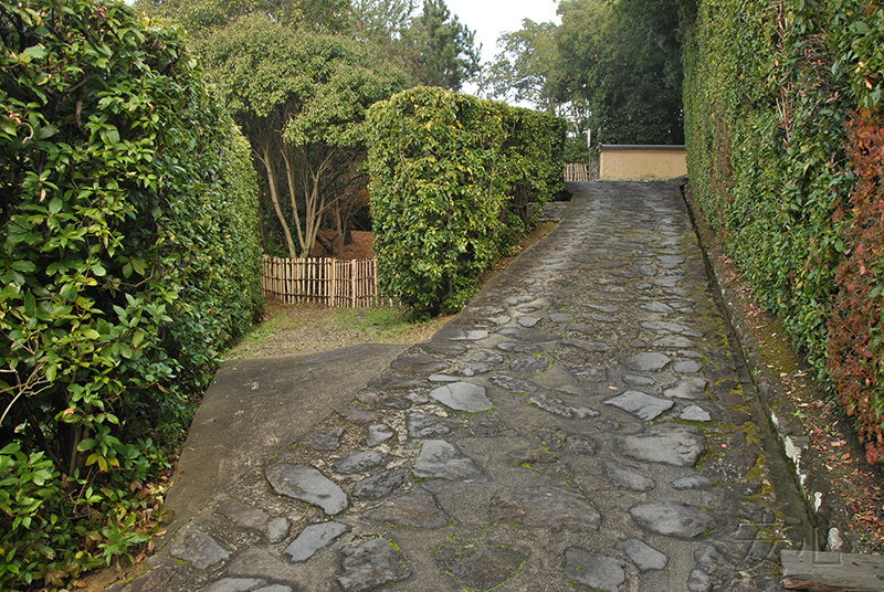 Jiko-in temple garden