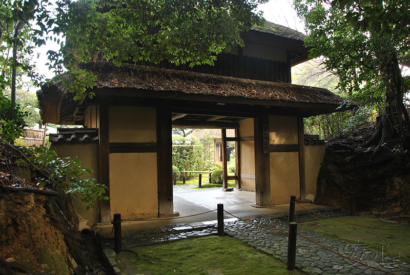 Jiko-in temple garden