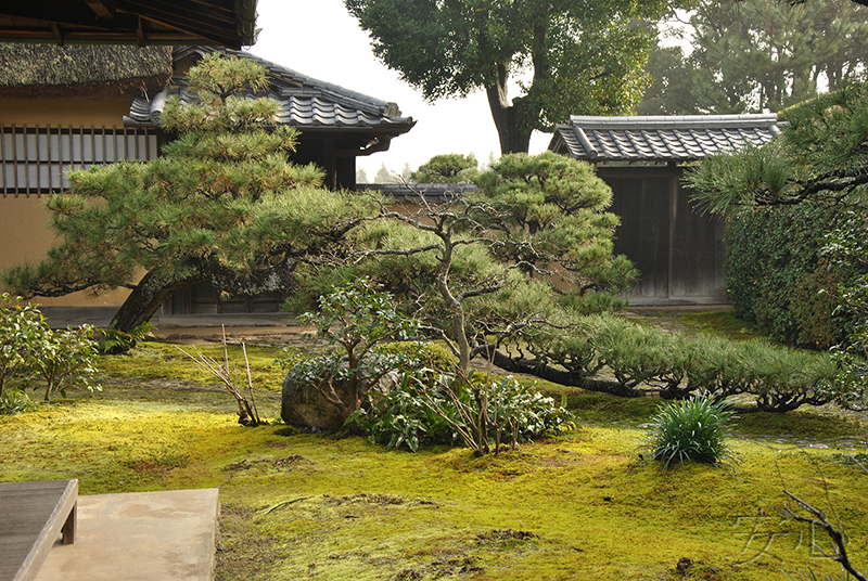 Jiko-in temple garden