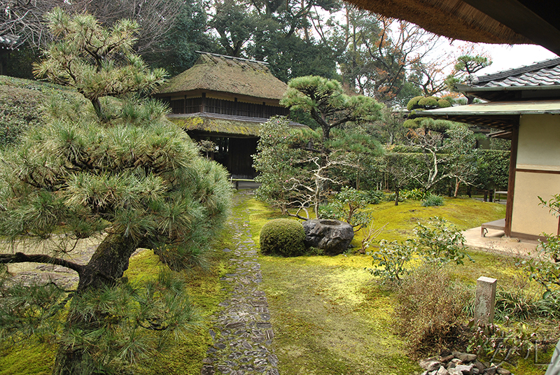 Jiko-in temple garden