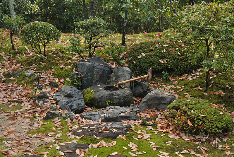 Jiko-in temple garden