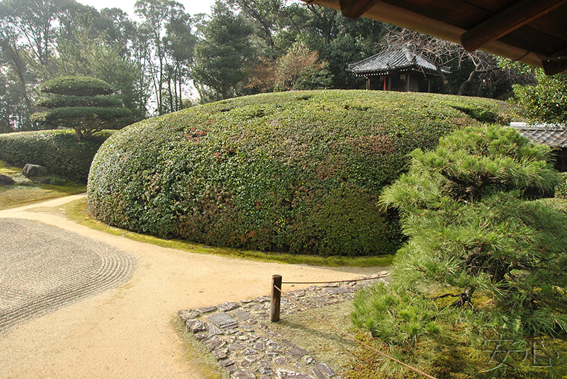 Jiko-in temple garden