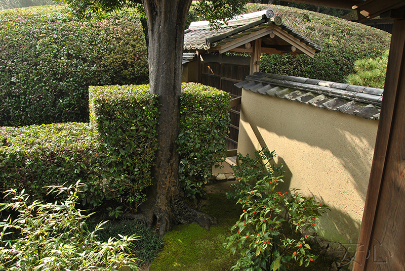 Jiko-in temple garden