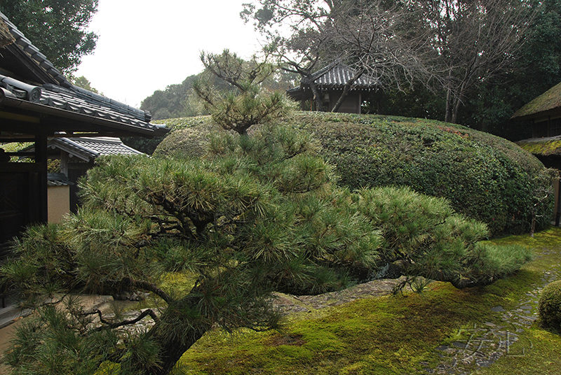 Jiko-in temple garden