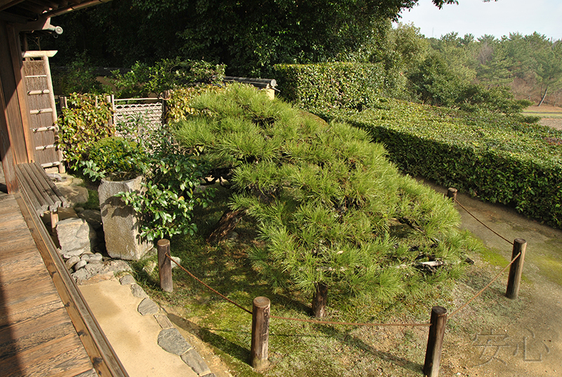 Jiko-in temple garden