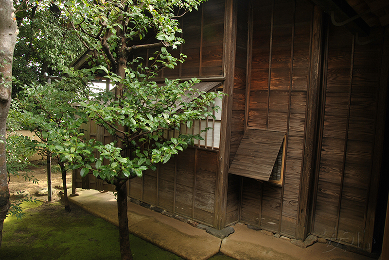 Jiko-in temple garden