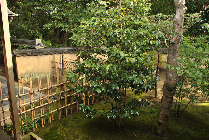 Jiko-in temple garden