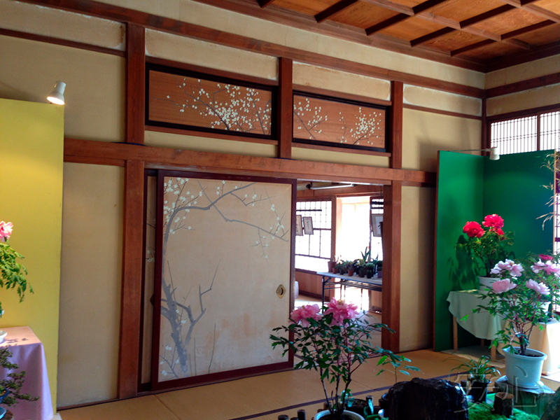 Peony garden , Kasuisai Temple