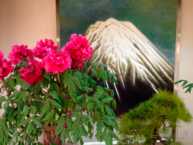 Peony garden , Kasuisai Temple