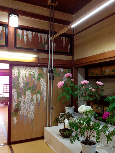 Peony garden , Kasuisai Temple