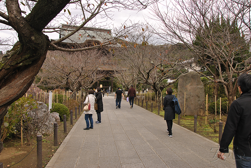 The gardens of Kencho-ji Temple