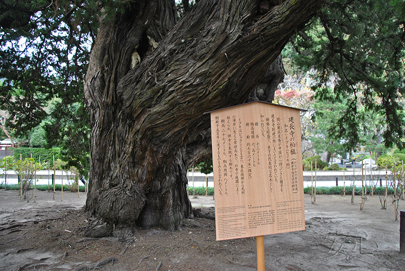 The gardens of Kencho-ji Temple