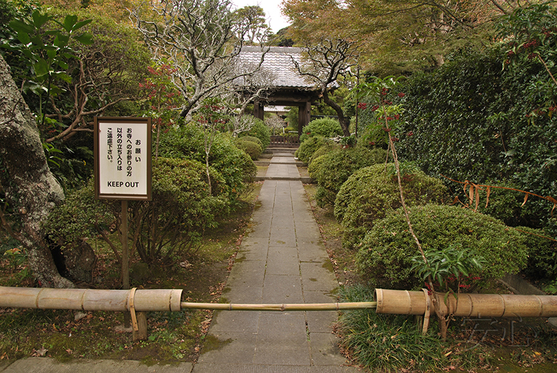 The gardens of Kencho-ji Temple