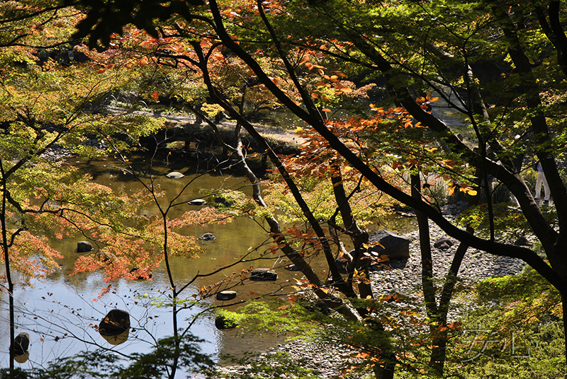 Koisikawa Korakuen Garden