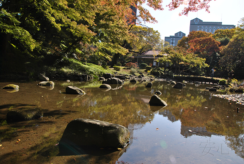 Koisikawa Korakuen Garden