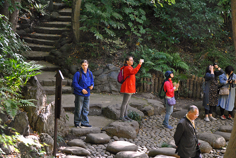 Koisikawa Korakuen Garden