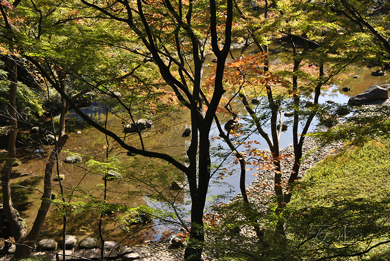 Koisikawa Korakuen Garden