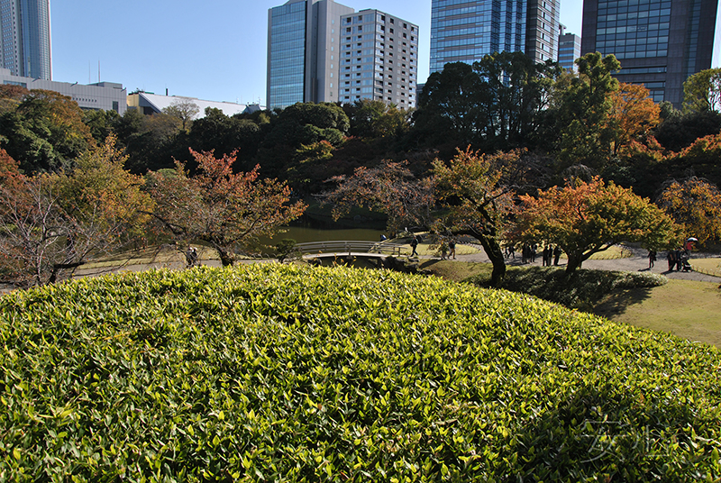 Koisikawa Korakuen Garden