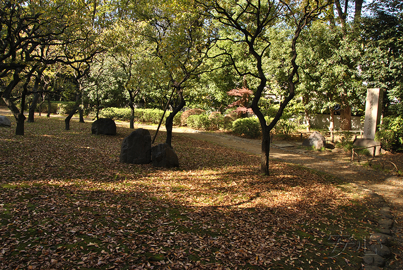 Koisikawa Korakuen Garden