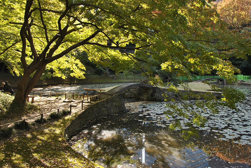 Koisikawa Korakuen Garden