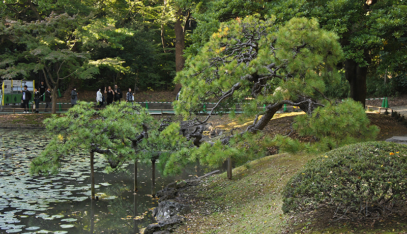 Koisikawa Korakuen Garden