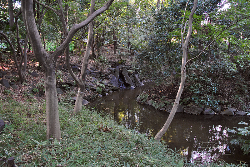 Koisikawa Korakuen Garden