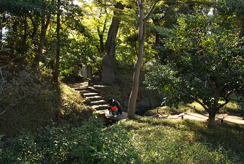 Koisikawa Korakuen Garden