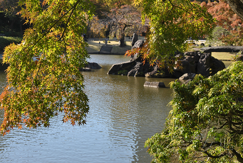 Koisikawa Korakuen Garden