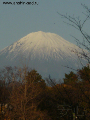 Sacred Mount Fuji