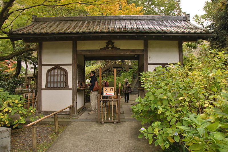 The gardens of Meigetsu-in Temple