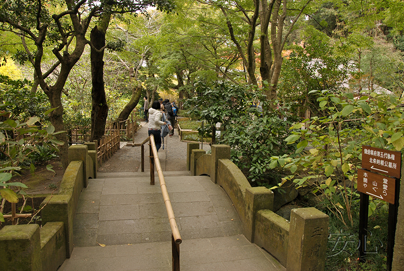 The gardens of Meigetsu-in Temple