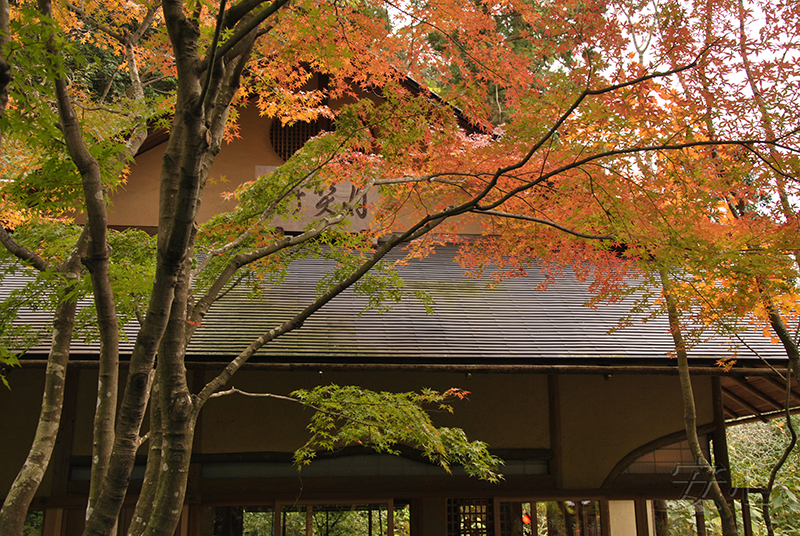 The gardens of Meigetsu-in Temple