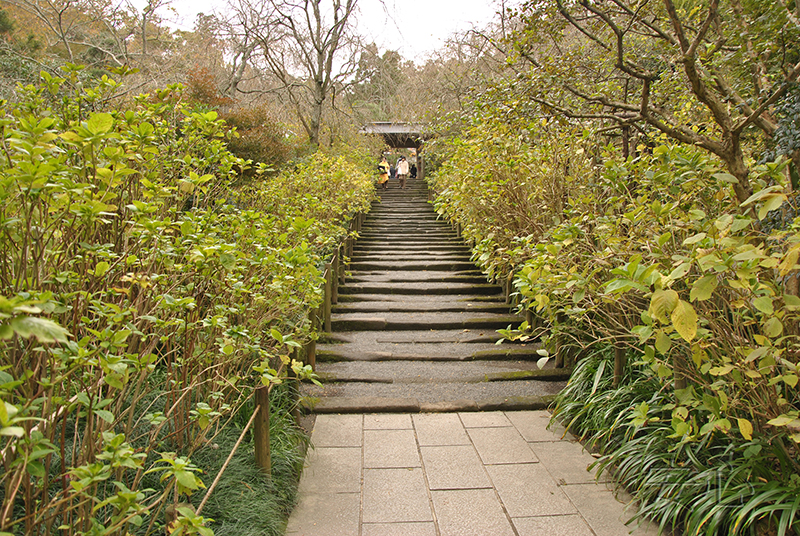 The gardens of Meigetsu-in Temple