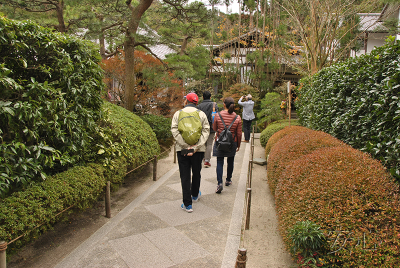 The gardens of Meigetsu-in Temple