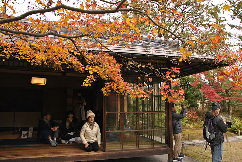 Murin-an garden