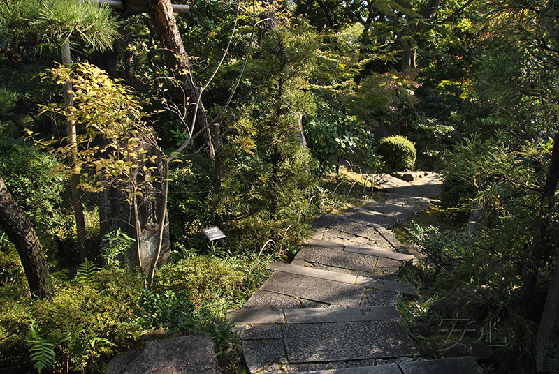 Nezu Museum Garden