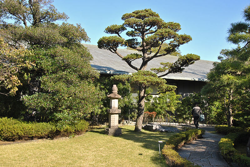 Nezu Museum Garden