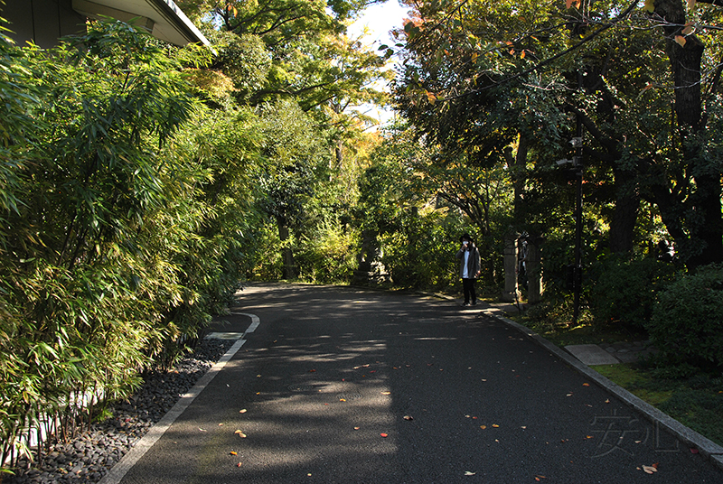 Nezu Museum Garden