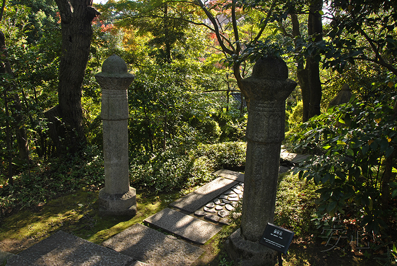 Nezu Museum Garden