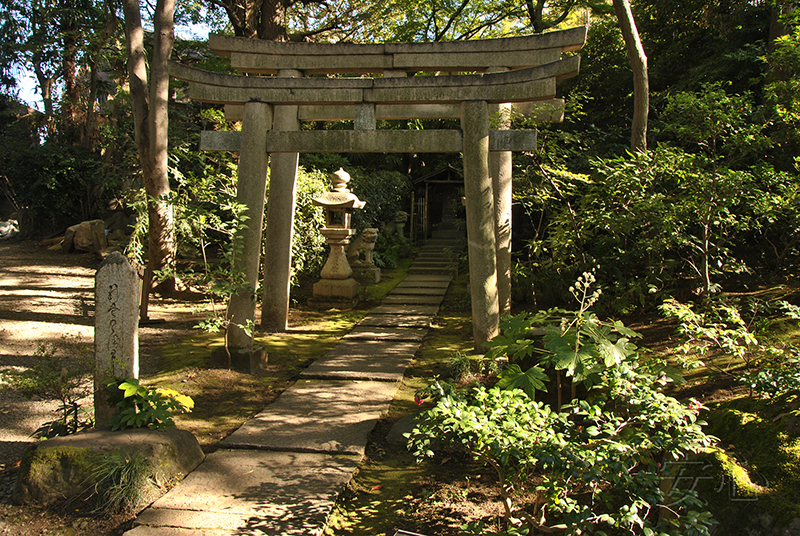 Nezu Museum Garden