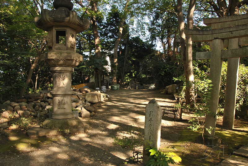 Nezu Museum Garden