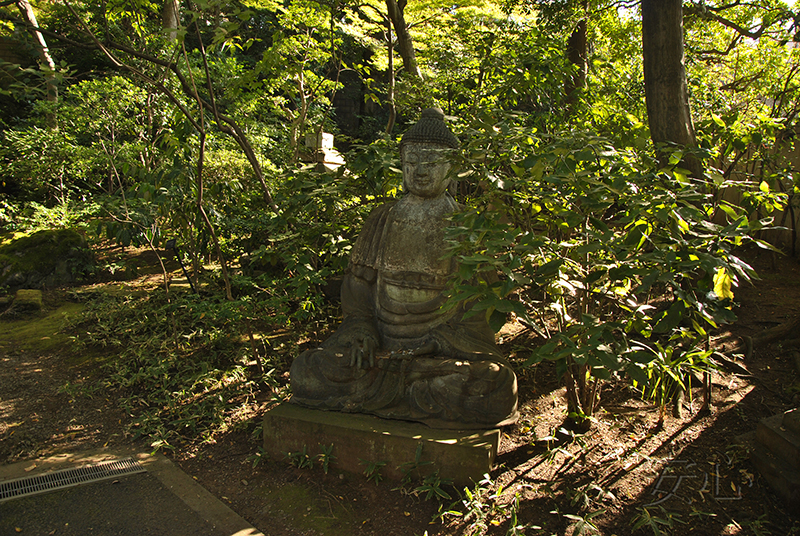 Nezu Museum Garden