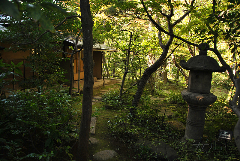 Nezu Museum Garden