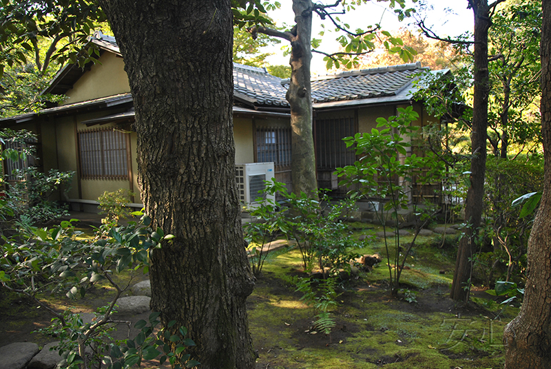 Nezu Museum Garden